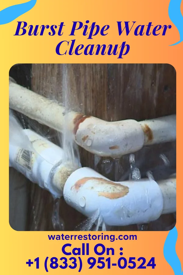 Burst Pipe Water Cleanup in Table Rock, PA